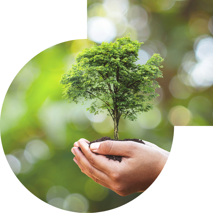 关怀人类、文化、环境与社会